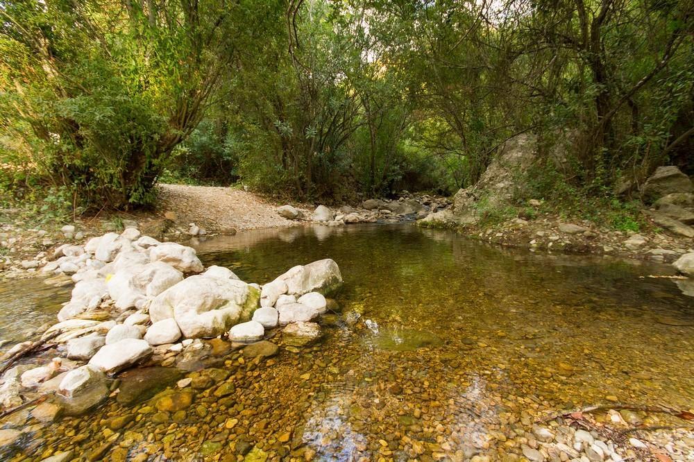 אל בוסקה Finca El Huertezuelo מראה חיצוני תמונה